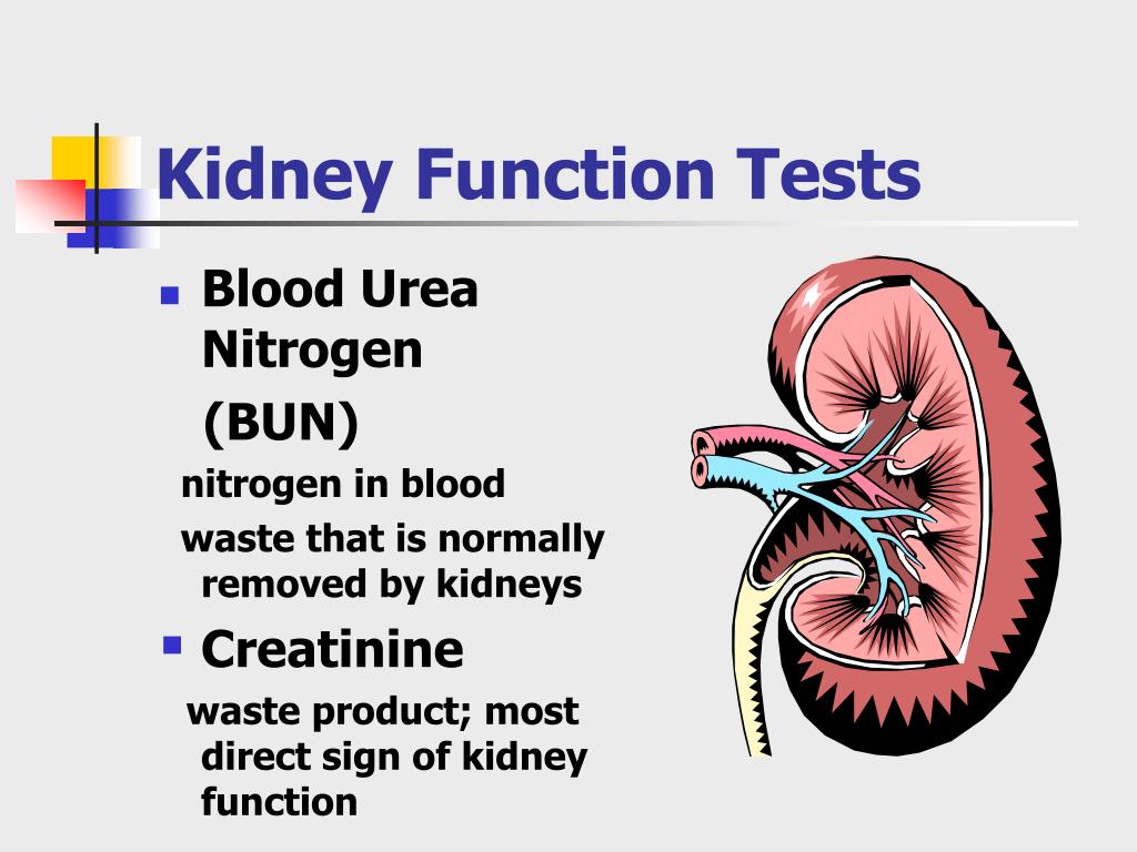 kidney Function Test